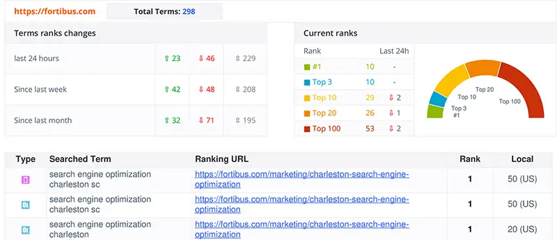 seo reports