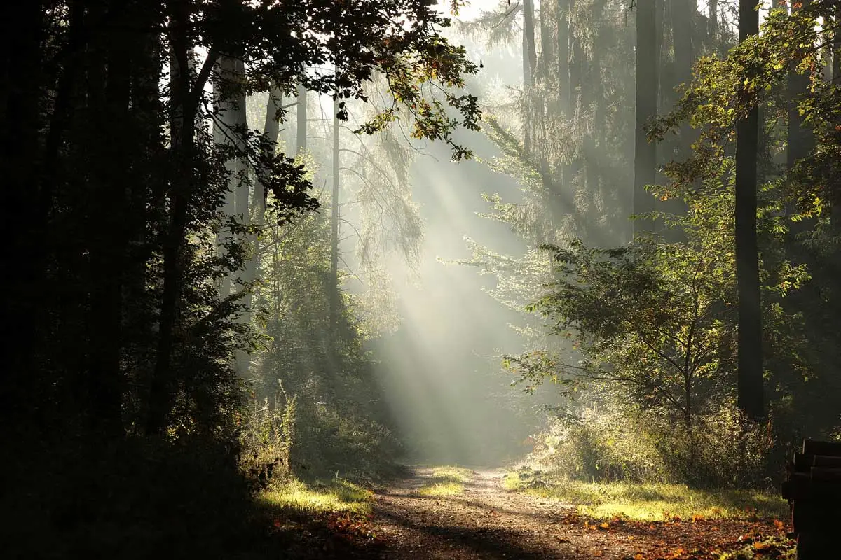 what's the right path for my marketing?