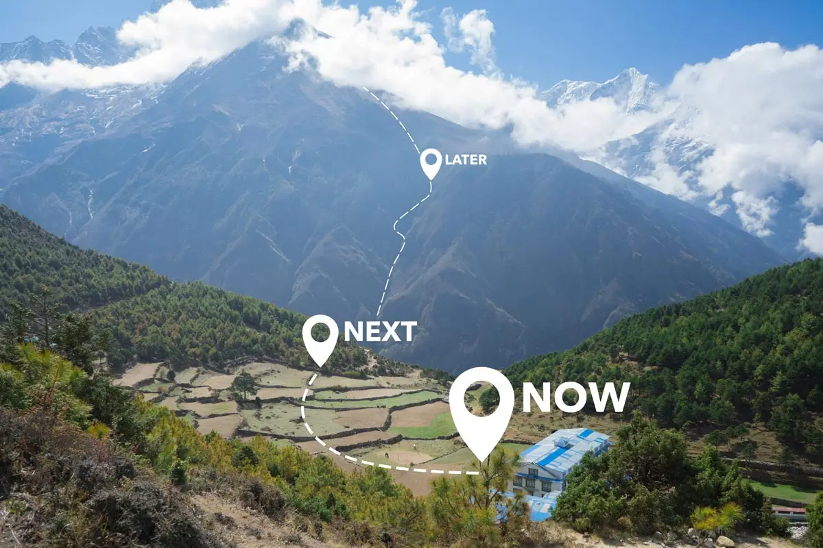 grow now and grow more in the future